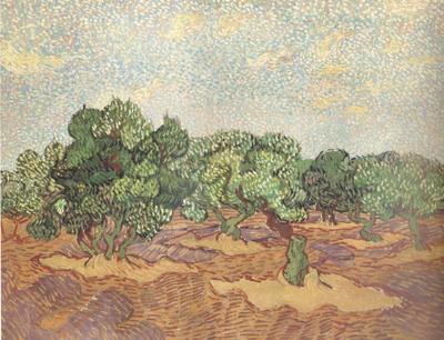 Vincent Van Gogh Olive Grove:Pale Blue Sky (nn04) China oil painting art